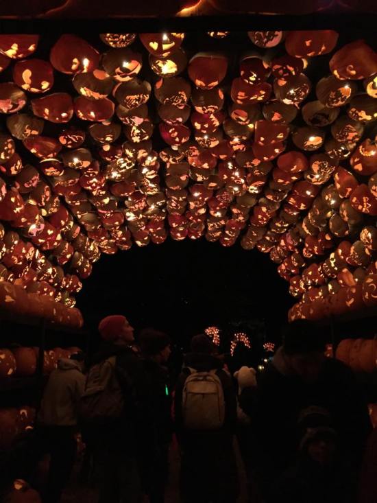 pumpkin tunnel